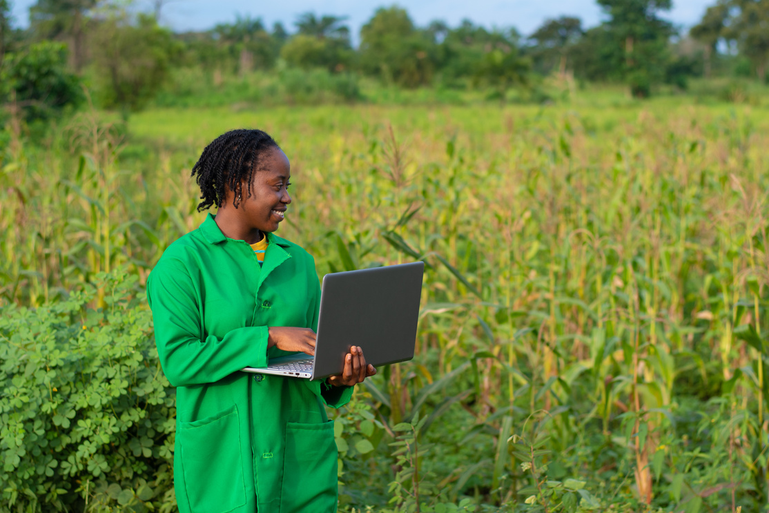 Woman with a Laptop Checking on a Crop of Corn 
